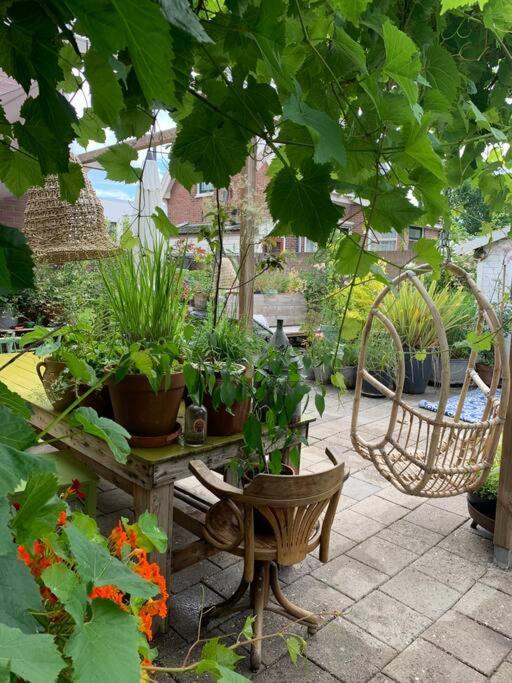 De Bollenschuur Villa Egmond aan Zee Buitenkant foto