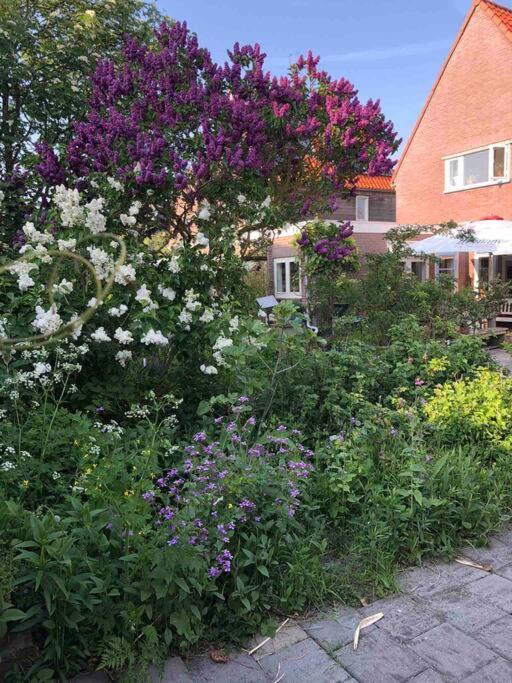 De Bollenschuur Villa Egmond aan Zee Buitenkant foto